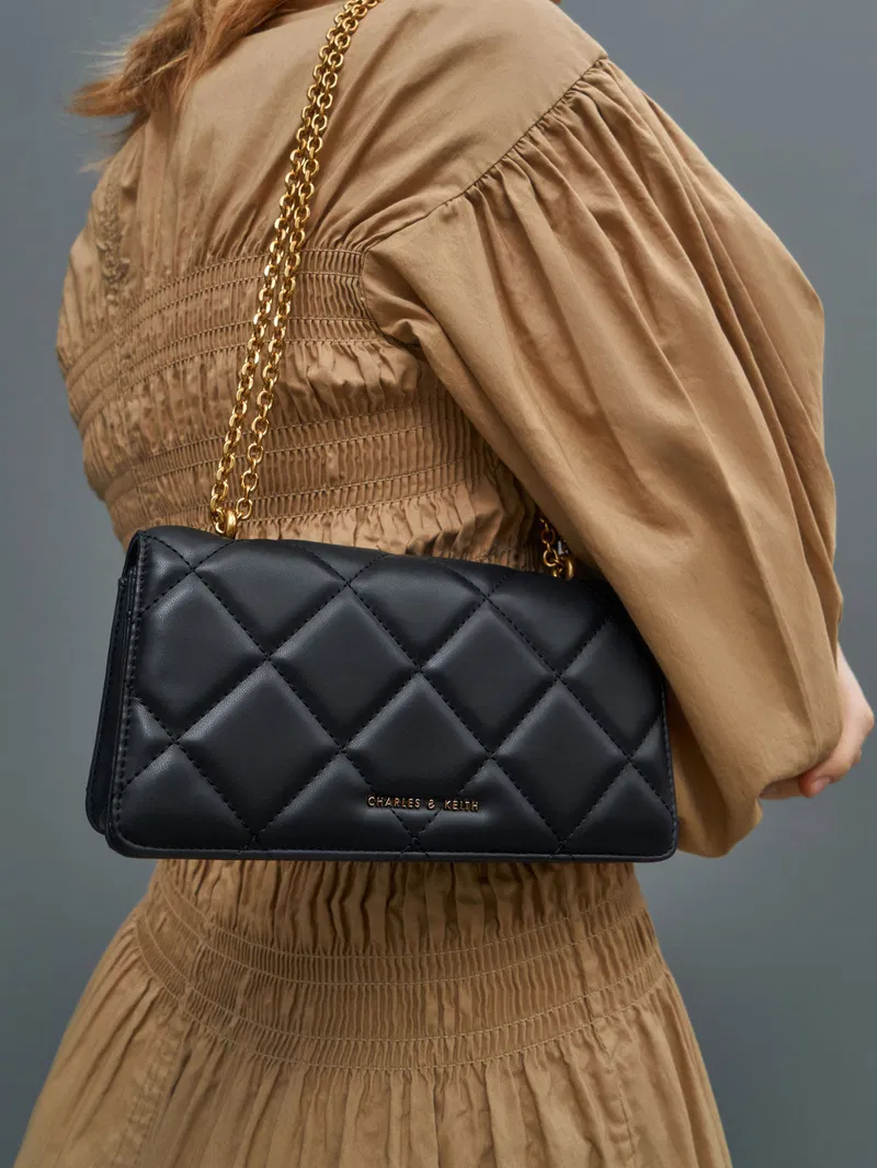 charles-and-keith-paffuto-chain-handle-quilted-long-wallet (2)
